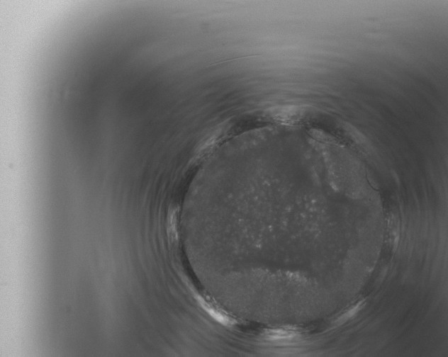 X0000080100286200612221747