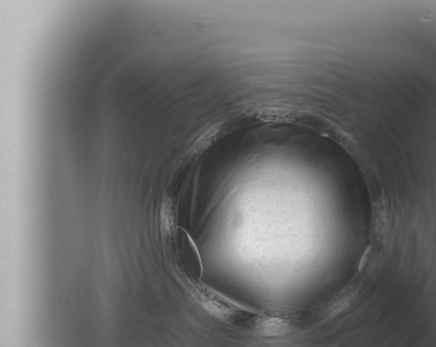 X0000080100287200612221747