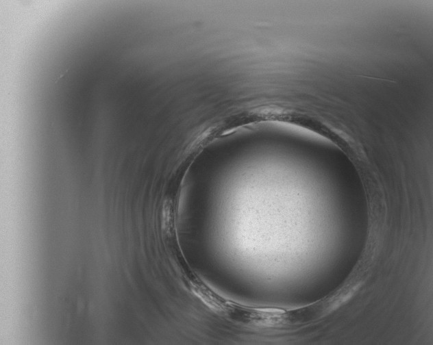 X0000080100288200612221747