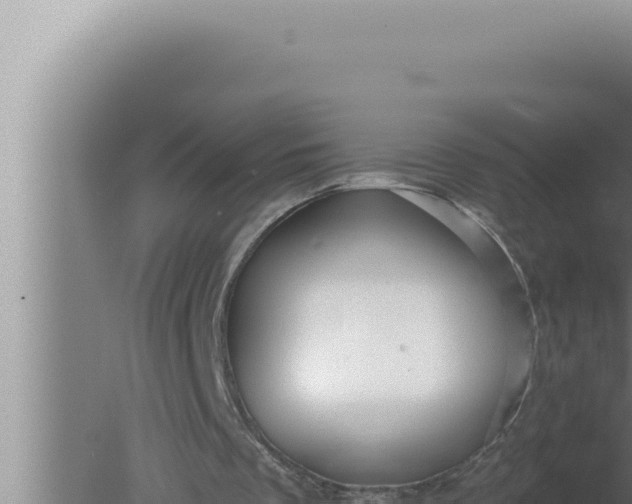 X0000080100289200612221746