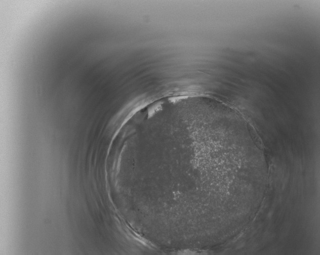 X0000080100290200612221746