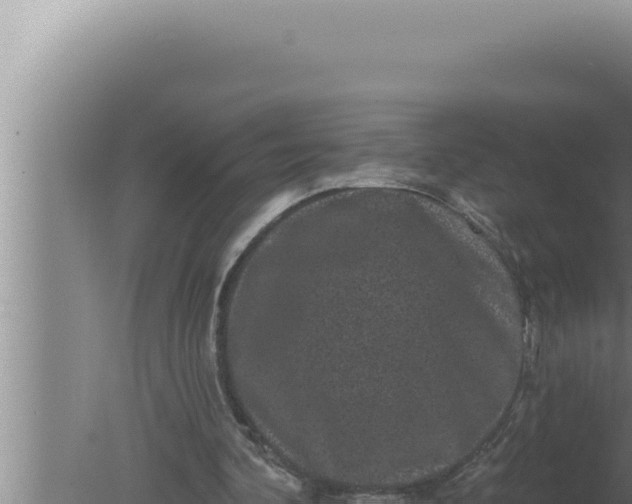 X0000080100292200612221746