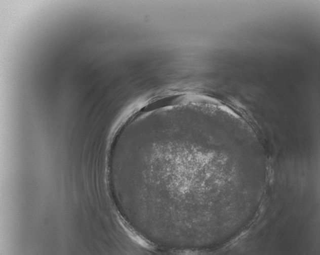 X0000080100293200612221746