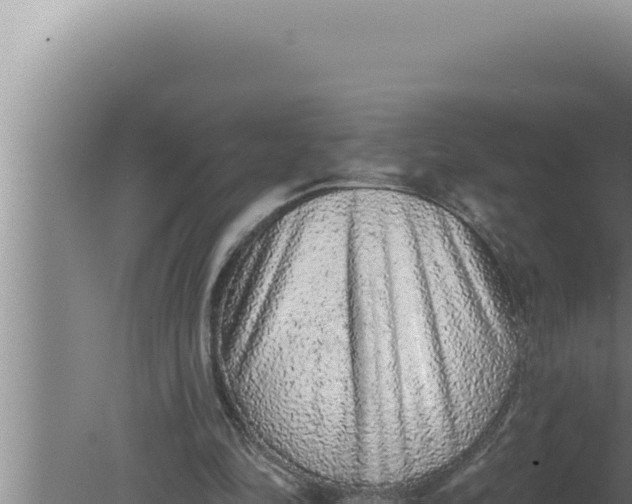 X0000080100294200612221746