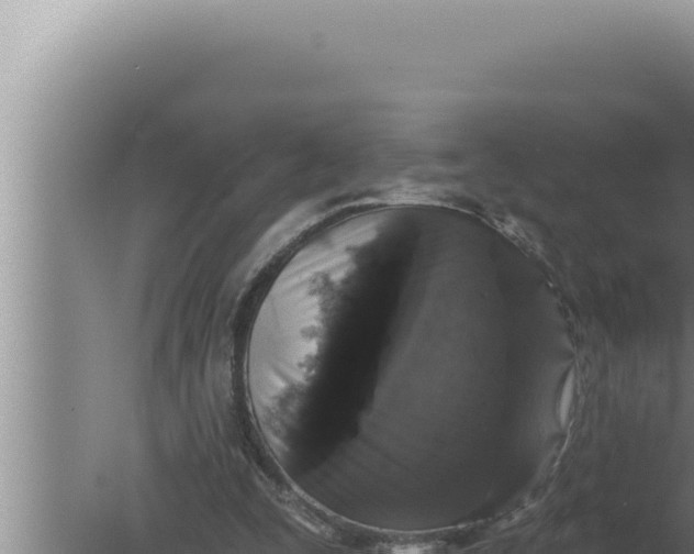 X0000080100295200612221746