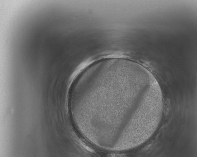 X0000080100296200612221746