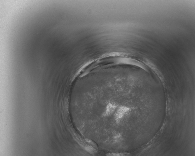 X0000080100297200612221746