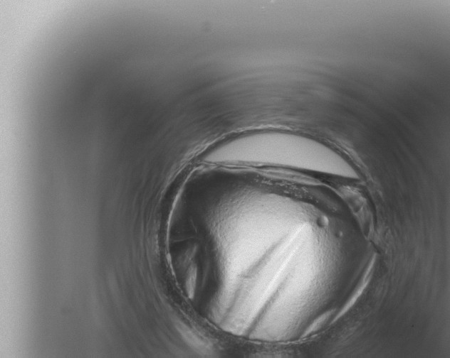 X0000080100299200612221746