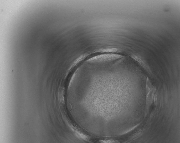 X0000080100300200612221746