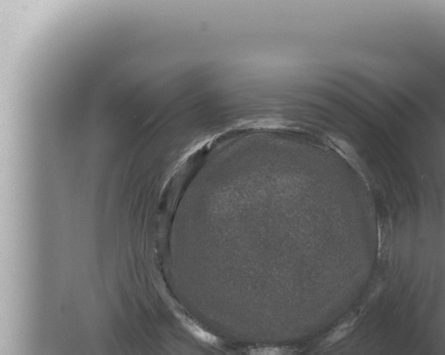 X0000080100301200612221746