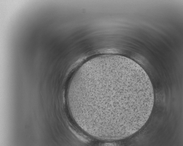 X0000080100302200612221746