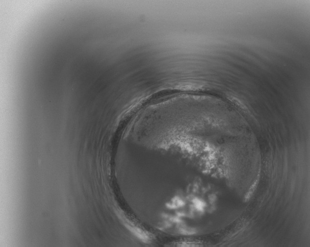 X0000080100303200612221746