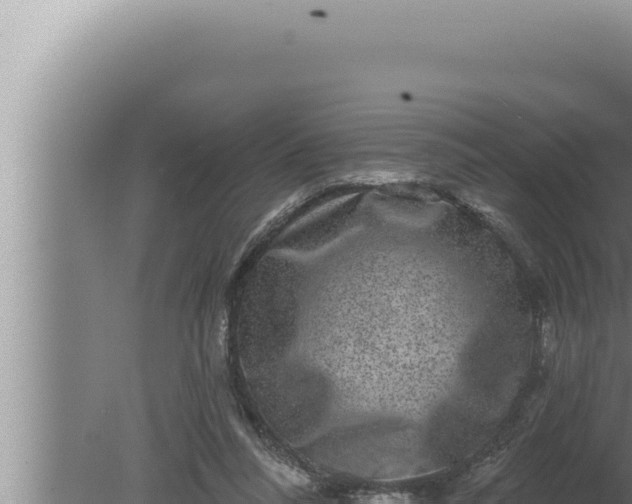 X0000080100304200612221746