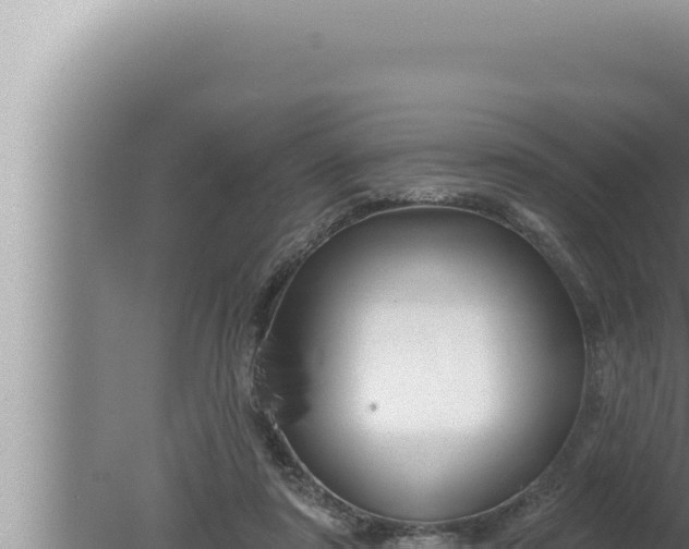 X0000080100307200612221745