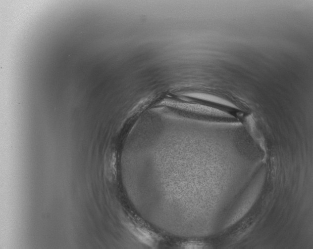 X0000080100308200612221745