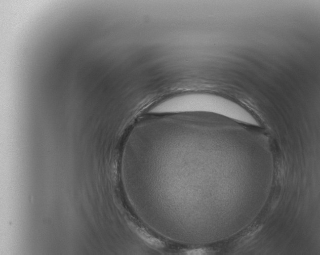 X0000080100309200612221745