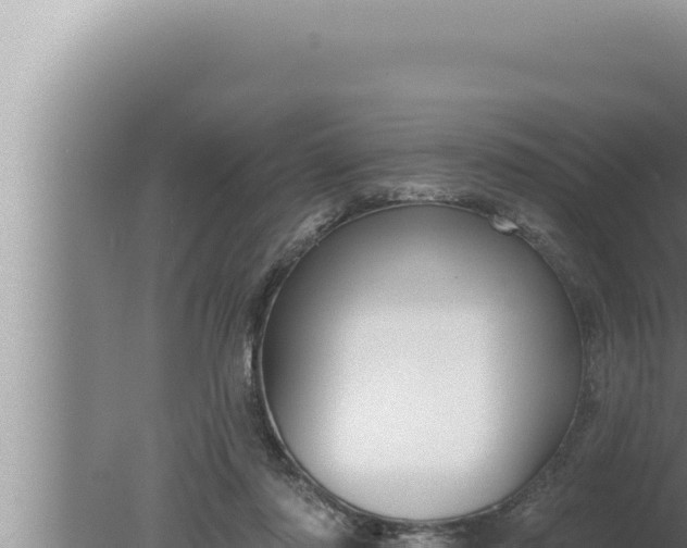 X0000080100310200612221745