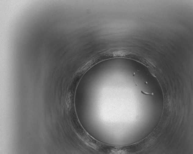 X0000080100311200612221745