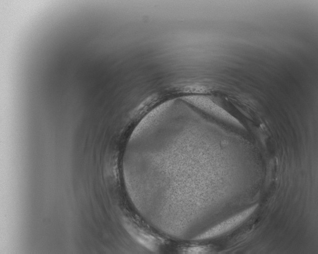 X0000080100312200612221745