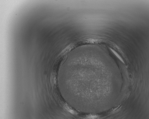 X0000080100313200612221745