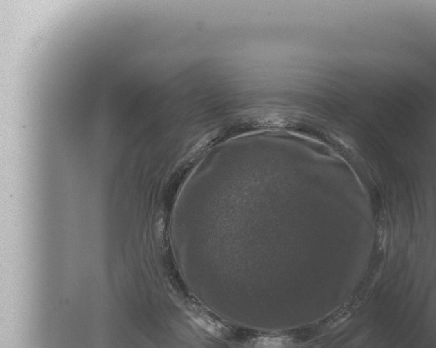 X0000080100314200612221745