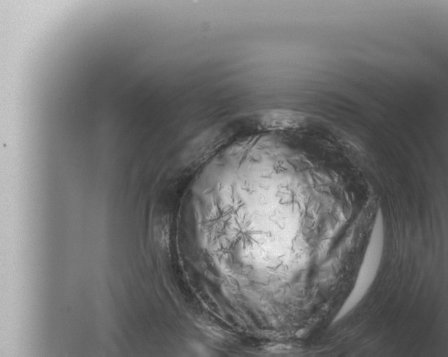 X0000080100315200612221745