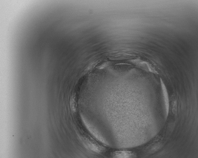 X0000080100316200612221745