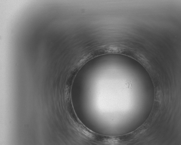 X0000080100318200612221745