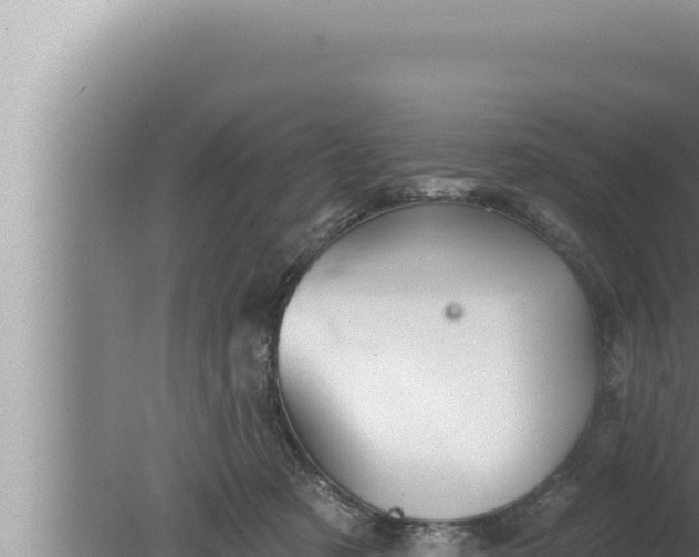 X0000080100321200612221745