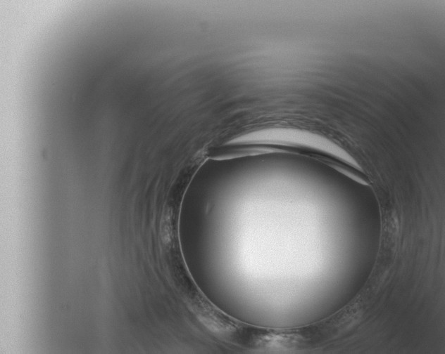 X0000080100323200612221745