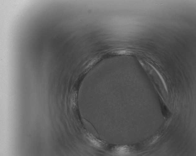 X0000080100325200612221745