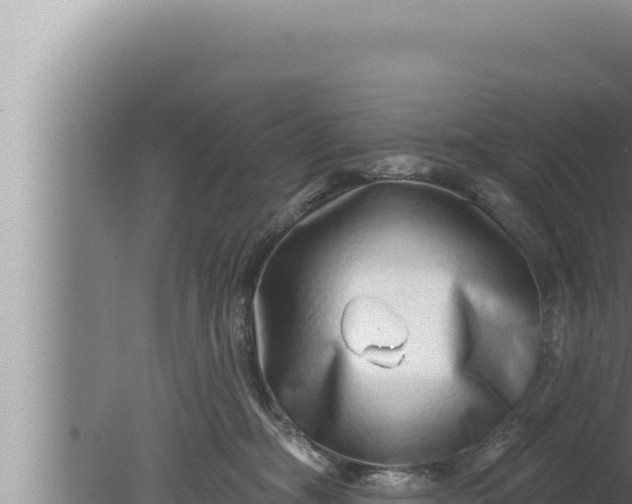 X0000080100326200612221745