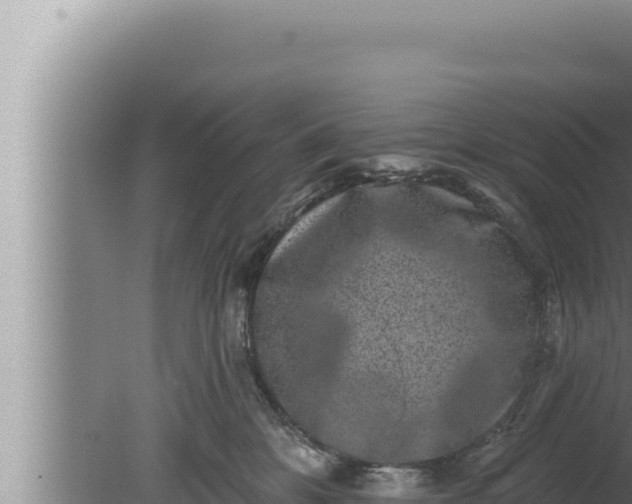 X0000080100328200612221745