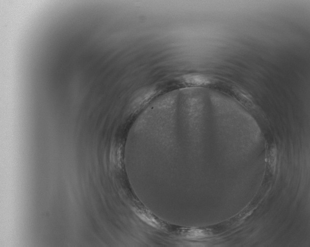 X0000080100330200612221745