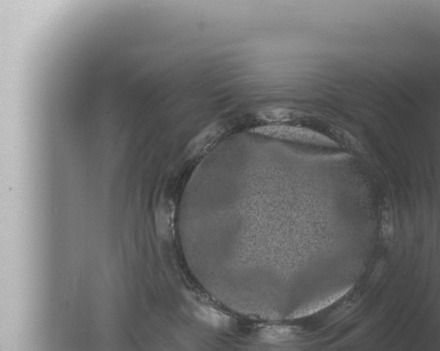 X0000080100332200612221745