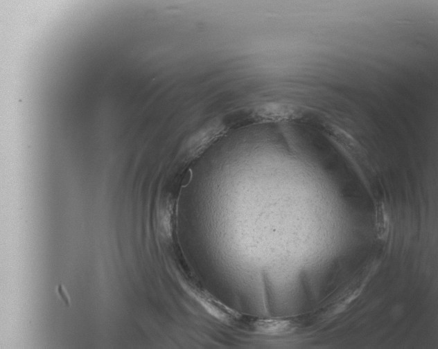 X0000080100334200612221745