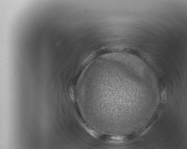 X0000080100335200612221745