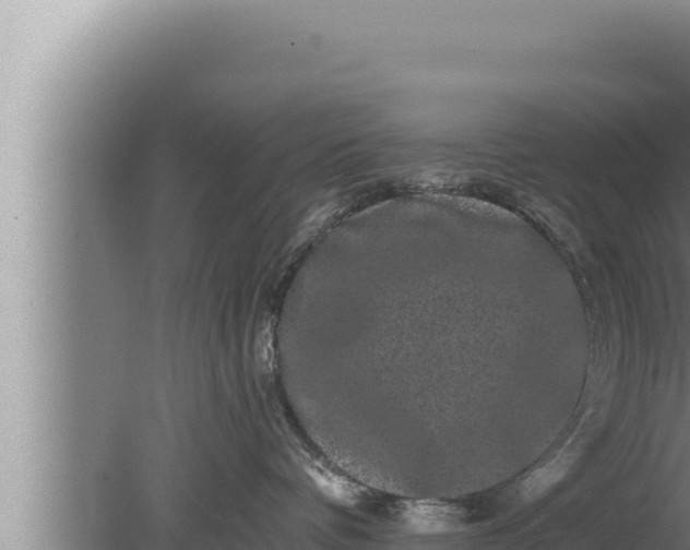 X0000080100336200612221745