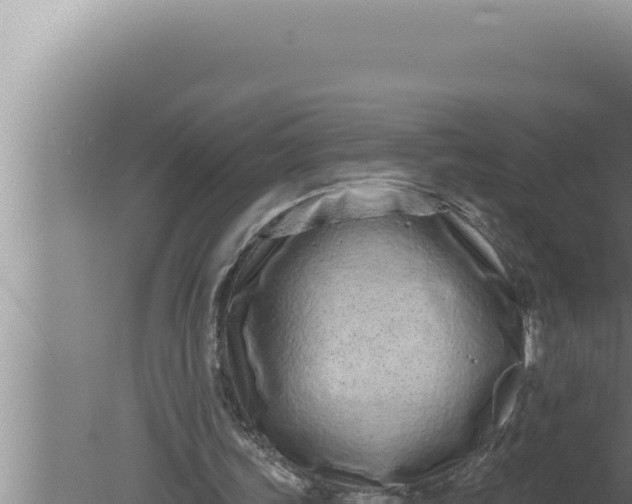 X0000080100339200612221744