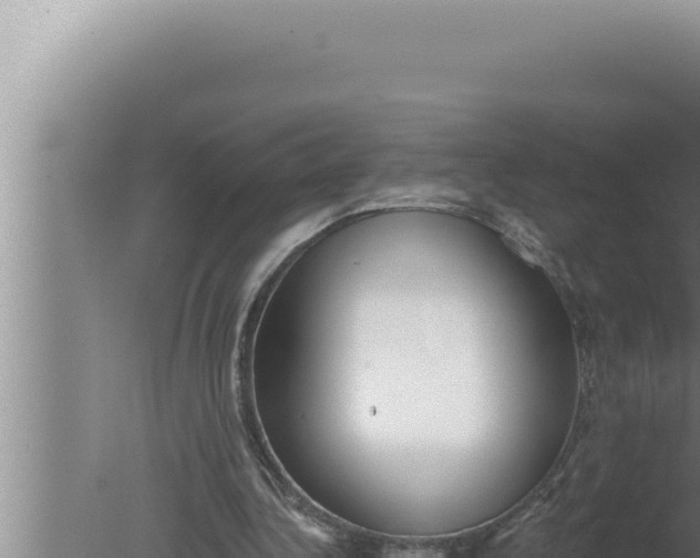 X0000080100340200612221744