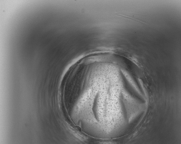 X0000080100342200612221744