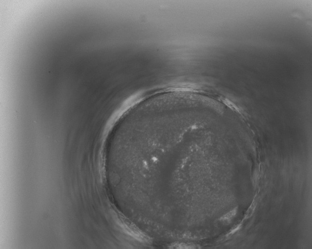 X0000080100343200612221744