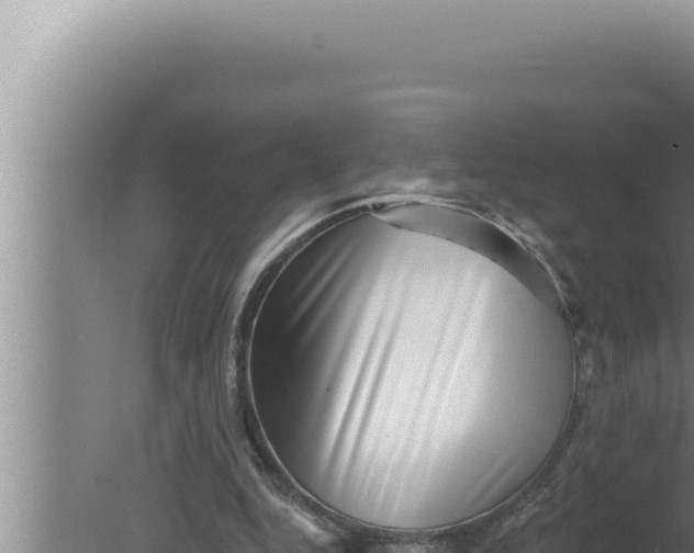 X0000080100344200612221744