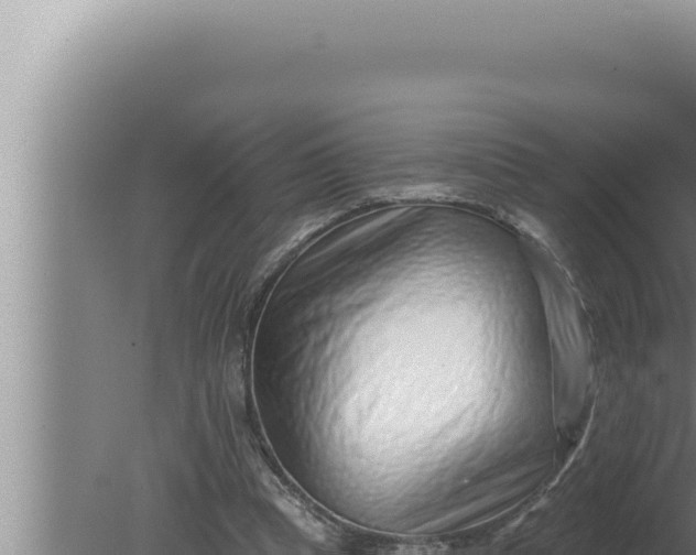 X0000080100345200612221744