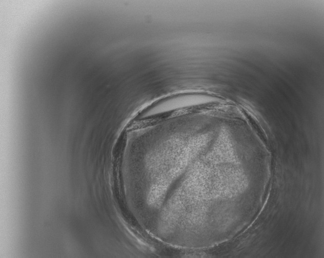 X0000080100346200612221744