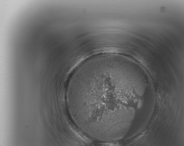 X0000080100347200612221744