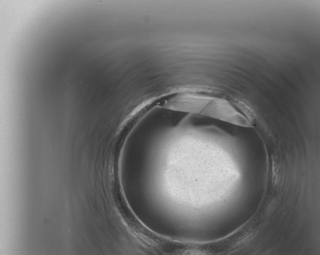 X0000080100348200612221744