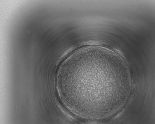 X0000080100349200612221744