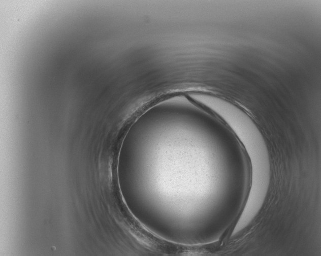 X0000080100350200612221744