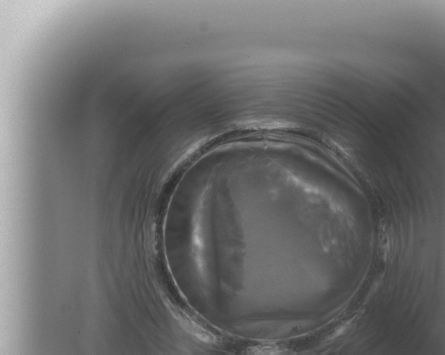 X0000080100351200612221744